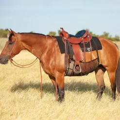 CASHEL Protection ventrale anti-mouche cheval Quiet Ride -< Couvertures Anti-Mouche Cheval|Couvertures Anti-Mouche Cheval