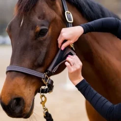 THINLINE Protections côtés licol cheval -< Panier Anti-Fourbure Cheval|Licols