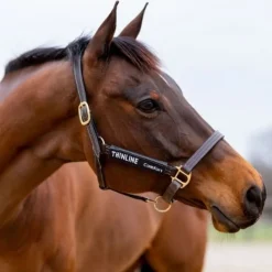 THINLINE Protections côtés licol cheval -< Panier Anti-Fourbure Cheval|Licols