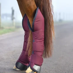 HORSEWARE Protections de transport Rambo -< Equipement Concours|Protections De Transport