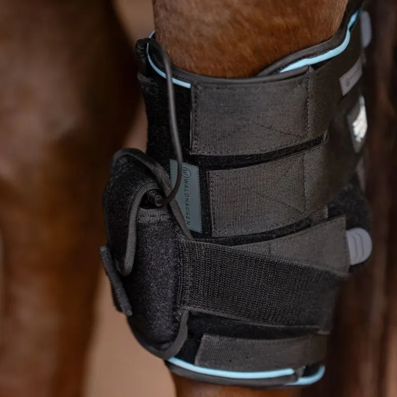 WALDHAUSEN Protège jarret cheval thérapeutique W-Health and Care (vibrations∕froid∕chaleur) -< Protections Thérapeutiques Chevaux|Arthrose Cheval