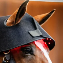HORSEWARE Protège nuque thérapeutique cheval LED Luminotherapie Poll Cap -< Accessoires Thérapeutiques|Protections De Repos