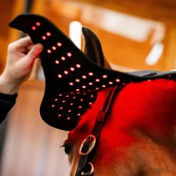 HORSEWARE Protège nuque thérapeutique cheval LED Luminotherapie Poll Cap -< Accessoires Thérapeutiques|Protections De Repos