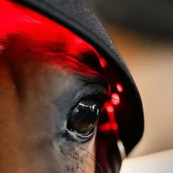 HORSEWARE Protège nuque thérapeutique cheval LED Luminotherapie Poll Cap -< Accessoires Thérapeutiques|Protections De Repos