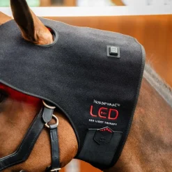 HORSEWARE Protège nuque thérapeutique cheval LED Luminotherapie Poll Cap -< Accessoires Thérapeutiques|Protections De Repos