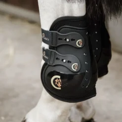 KENTUCKY HORSEWEAR Protège-boulets cheval 2 crochets Elastic Moonboots Max - Kentucky< Protège-Boulets