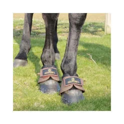 KENTUCKY HORSEWEAR Protège-glomes cheval D3O Solimbra - Kentucky< Cloches