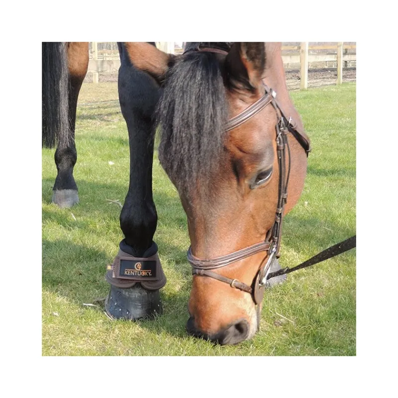 KENTUCKY HORSEWEAR Protège-glomes cheval D3O Solimbra - Kentucky< Cloches