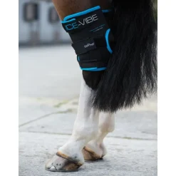HORSEWARE Protège-jarrets massant cheval Ice-Vibe -< Protections Thérapeutiques Chevaux|Arthrose Cheval