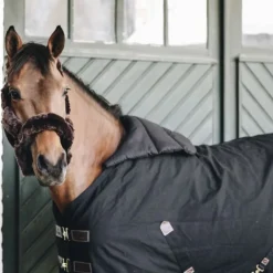 KENTUCKY HORSEWEAR Protège-épaules cheval été Summer Bib - Kentucky< Accessoires Entretien Couvertures
