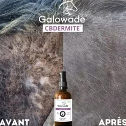 GALOWADE Recharge huile dermite estivale cheval CBDermite Date courte -< Produits Soin Cheval Anti- Gaspi|Complément Dates Courtes