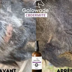 GALOWADE Recharge huile dermite estivale cheval CBDermite Date courte -< Produits Soin Cheval Anti- Gaspi|Complément Dates Courtes