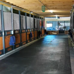 IDS Revêtement de sol 10T en caoutchouc pour les allées écurie, vans et camions cheval -< Tapis De Sols Box Et Écurie