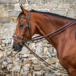 DYON Rênes allemandes tout cuir cheval D Collection -< Accessoires De Bridon Cheval