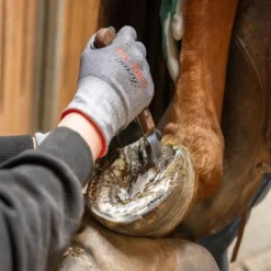 STABLE PRO Rénette sabot cheval ProfiLoop< Renettes