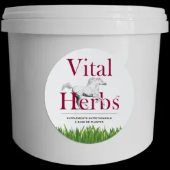 VITAL HERBS Seau vide 5 litres -< Friandises Cheval|Electrolytes Cheval