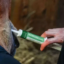 RAVENE Seringue anti-stress cheval Nutri'Cool Flash -< Equipement Concours|Anti-Stress Cheval Non Dopant