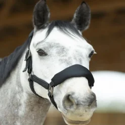 PRO-CONFORT HORSEWEAR Set licol + longe cheval mesh ergonomique Dorai -< Longes|Licols