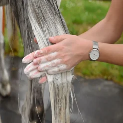 GAMME DU MARECHAL Shampoing anti-mouche cheval à la citronnelle - Gamme du Maréchal< Shampoing Cheval