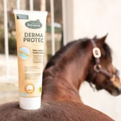RAVENE Soin cutané cheval polyvalent 250 ml Derma protect -< Désinfectant Et Cicatrisant Cheval|Produits Gale De Boue Et Crevasses Cheval