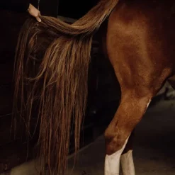 NELLUMBO Soin Démêlant crins cheval -< Lustrant Démêlant Pour Chevaux