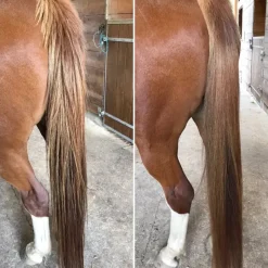 NELLUMBO Soin Démêlant crins cheval -< Lustrant Démêlant Pour Chevaux