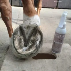 HORSE OF THE WORLD Soin fourchette cheval Rotstop -< Fourchette Pourrie Cheval