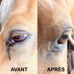 RAVENE Soins zones sensibles en lingettes x 25 Easy Shine Wipe -< Nettoyant Yeux, Nez, Oreilles