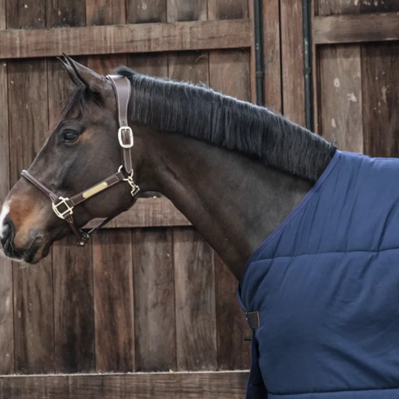 KENTUCKY HORSEWEAR Sous couverture cheval Classic 300g - Kentucky< Couvertures De Box|Couvertures D'Extérieur Cheval