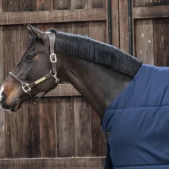KENTUCKY HORSEWEAR Sous couverture cheval Classic 200g - Kentucky< Couvertures De Box|Couvertures D'Extérieur Cheval
