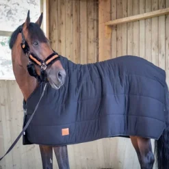 PADDOCK SPORTS Sous couverture cheval 200g Underblanket -< Couvertures De Box