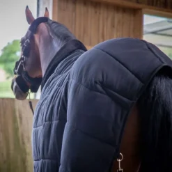 PADDOCK SPORTS Sous couverture cheval 200g Underblanket -< Couvertures De Box