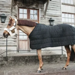 KENTUCKY HORSEWEAR Sous couverture cheval Skin Friendly 150g - Kentucky< Couvertures De Box