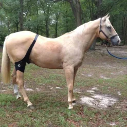 FENWICK Strapping Grassets et rotules cheval thérapeutique régénérant -Titane Liquide -< Protections Thérapeutiques Chevaux|Accessoires Thérapeutiques