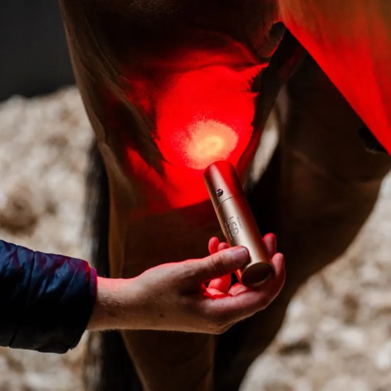 HORSEWARE Stylo thérapeutique cheval LED Luminothérapie -< Accessoires Thérapeutiques|Protections De Repos