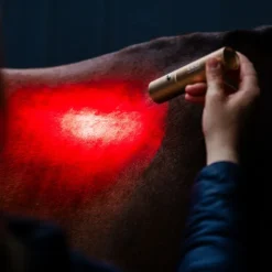 HORSEWARE Stylo thérapeutique cheval LED Luminothérapie -< Accessoires Thérapeutiques|Protections De Repos