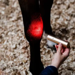 HORSEWARE Stylo thérapeutique cheval LED Luminothérapie -< Accessoires Thérapeutiques|Protections De Repos