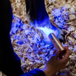 HORSEWARE Stylo thérapeutique cheval LED Luminothérapie -< Accessoires Thérapeutiques|Protections De Repos