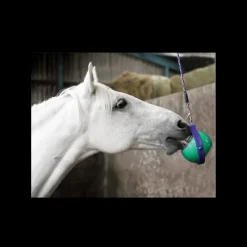 LIKIT Support ludique pierre 250 g Boredom Buster -< Pierre À Sel Et Pierre À Lécher|Friandises Cheval