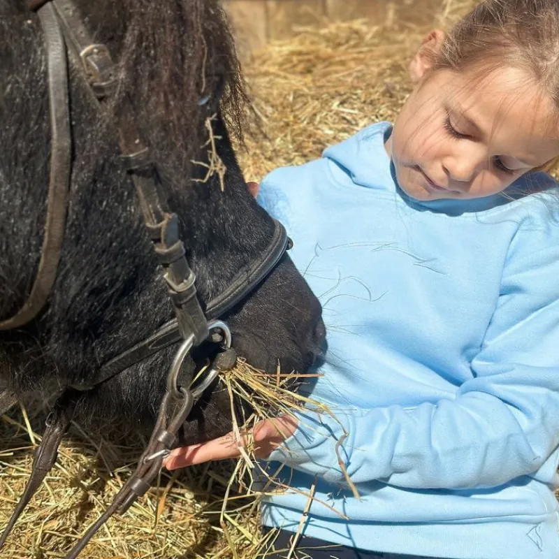 KEVIN STAUT COLLECTION Sweat à capuche équitation enfant -< Cavalier Junior|Cavalière Junior