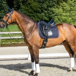 DYON Tapis de dressage cheval Classique - Dy'on< Tapis De Dressage