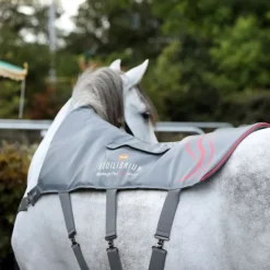 EQUILIBRIUM Tapis de massage cheval chauffant Heatsense -< Accessoires Thérapeutiques|Idées Cadeaux