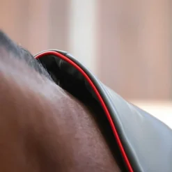 EQUILIBRIUM Tapis de massage cheval chauffant Heatsense -< Accessoires Thérapeutiques|Idées Cadeaux