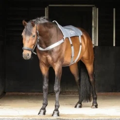 EQUILIBRIUM Tapis de massage cheval chauffant Heatsense -< Accessoires Thérapeutiques|Idées Cadeaux