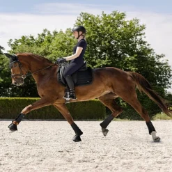 WALDHAUSEN Tapis de selle cheval en mesh Rimini -< Tapis De Dressage|Tapis De Selle Classiques