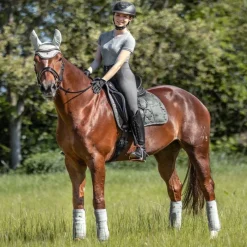 WALDHAUSEN Tapis de selle cheval Modern Rosé -< Tapis De Dressage|Tapis De Selle Classiques