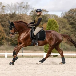 WALDHAUSEN Tapis de selle cheval St Gallen -< Tapis De Dressage|Tapis De Selle Classiques