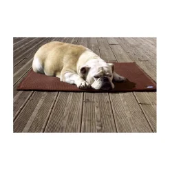 AXL-CONCEPT Tapis thérapeutique chat chien Sleepy dog< Paniers Et Gamelles Chien
