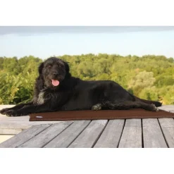 AXL-CONCEPT Tapis thérapeutique chat chien Sleepy dog< Paniers Et Gamelles Chien