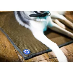 AXL-CONCEPT Tapis thérapeutique chat chien Sleepy dog< Paniers Et Gamelles Chien